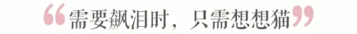錚حꐆ̶ żŮ