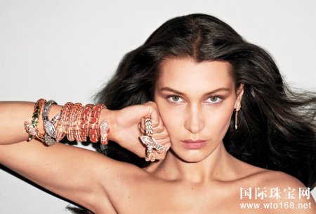 ģBella HadidؐԸ[ţcA錚